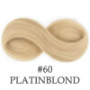 (60) Platinblond